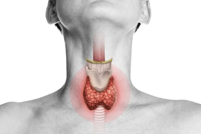 Foods to boost thyroid health - Witapedia