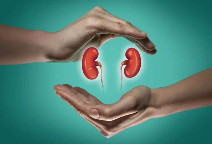 Healthy habits for healthy kidneys - Witapedia