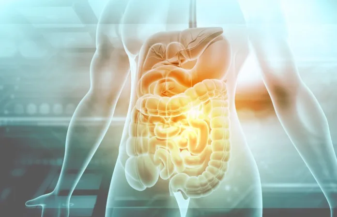 The secret to nutrition and wellbeing is a healthy digestive tract - Witapedia