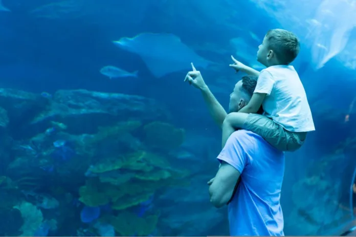 Top 10 attractions in Dubai you must visit with family - Witapedia