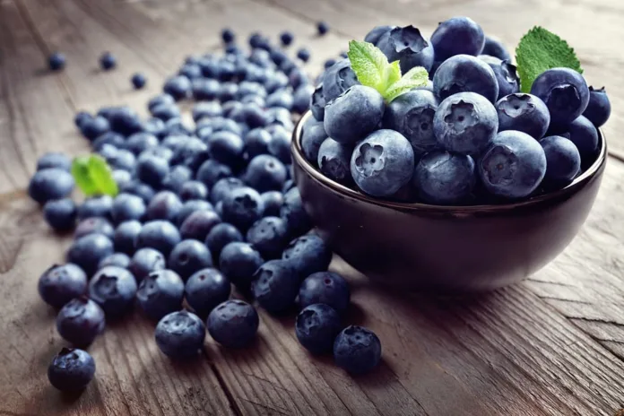 Why Blueberry is a Nutritional Powerhouse - Witapedia