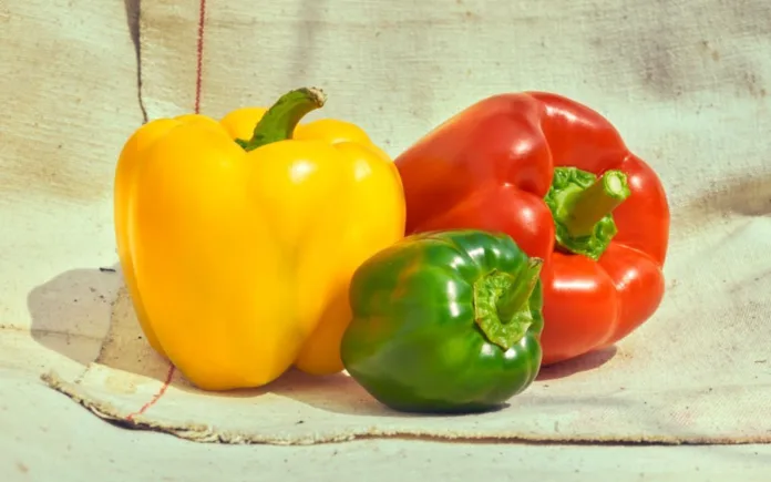 Amazing benefits of including bell pepper in your diet - Witapedia