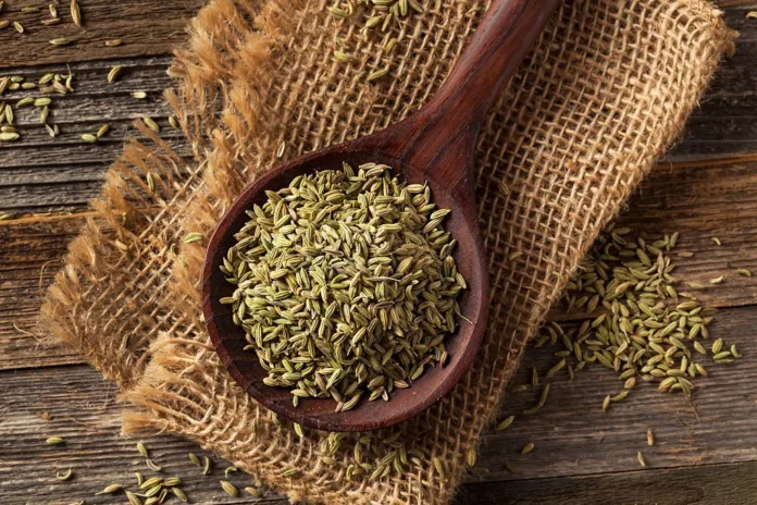 Benefits of consuming fennel seeds - Witapedia