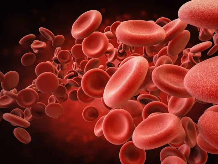 8 food items that increase platelet count in your blood - Witapedia