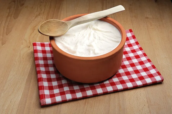 Benefits of adding Yogurt in your diet - Witapedia