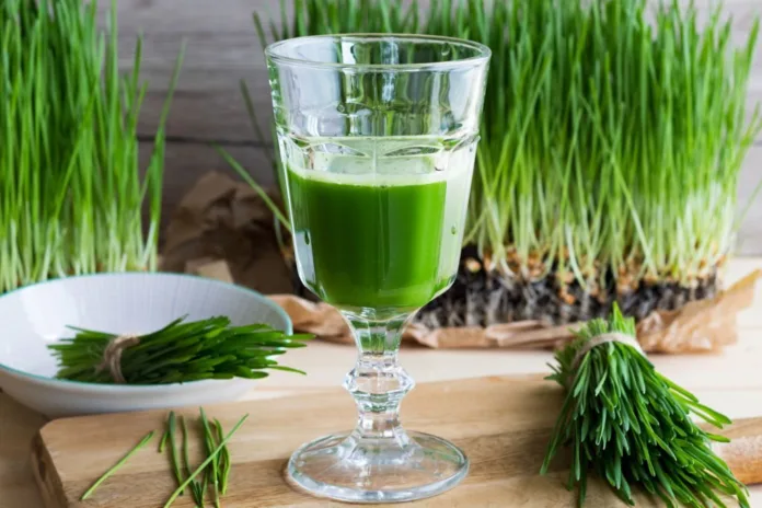 Benefits of wheatgrass juice - Witapedia