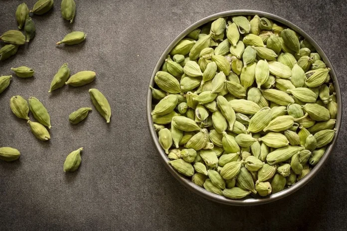 Health Benefits of Green Cardamom - Witapedia