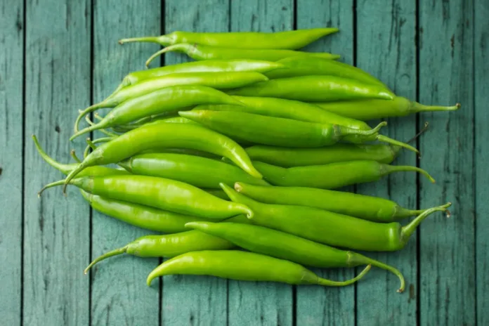 Health benefits of Green Chilli - Witapedia