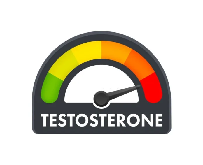 How to increase testosterone level - Witapedia