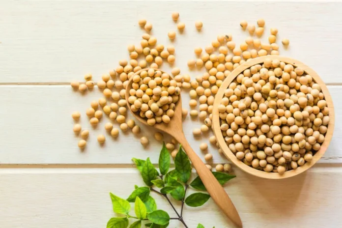 Side Effects of Consuming Excessive Soybeans - Witapedia