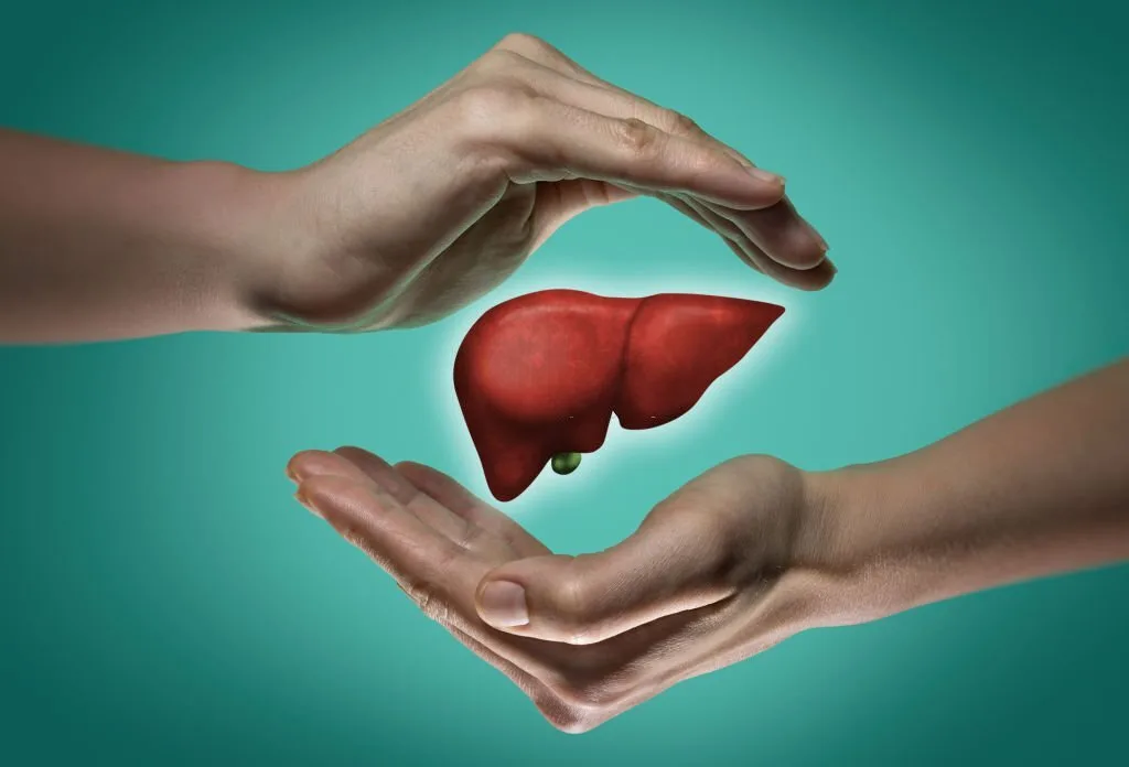 Foods that help to cleanse the liver - Witapedia