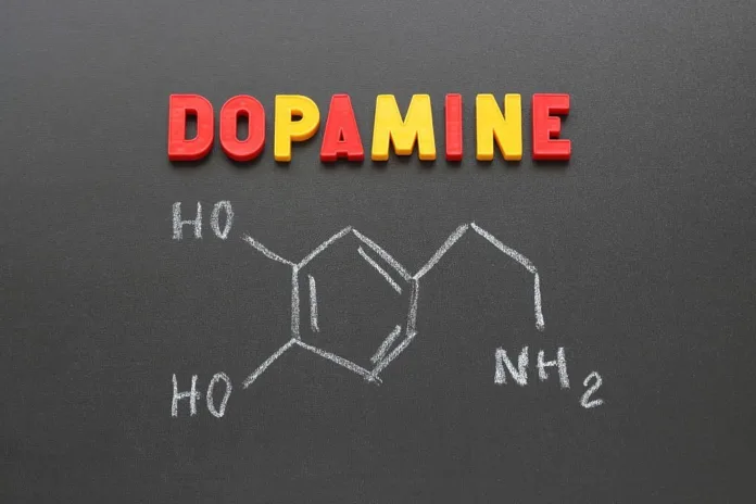 How to increase dopamine - Witapedia