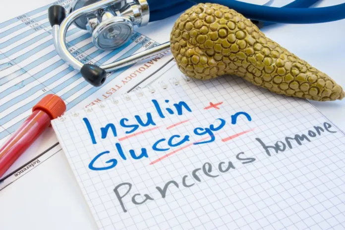 How to increase insulin in body - Witapedia