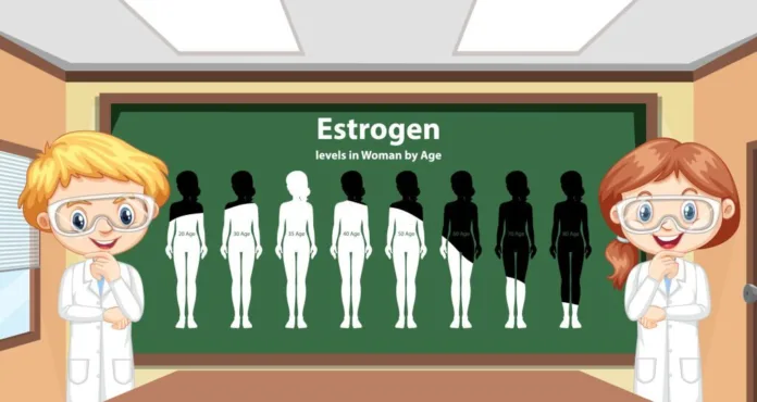 Tips on How to Increase Estrogen Levels - Witapedia