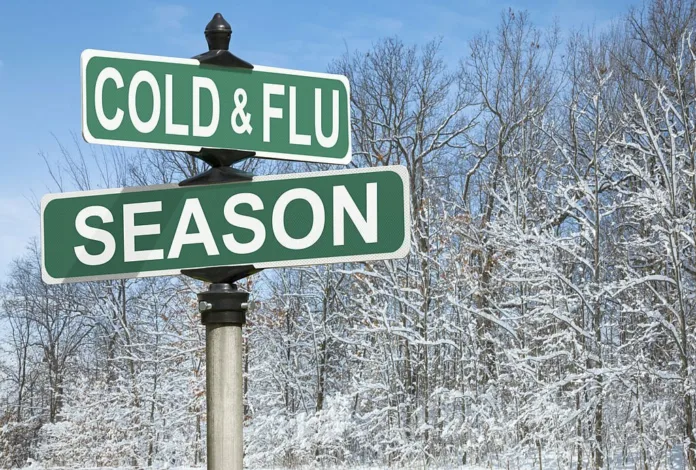 How to Stay Safe from Seasonal Flu - Witapedia