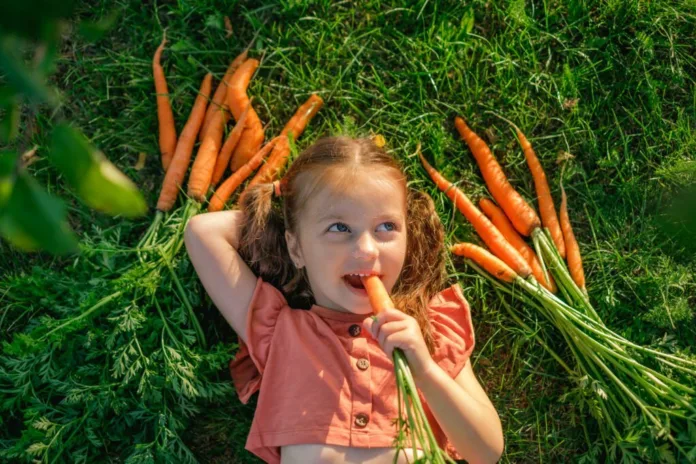 Reasons Why Carrots Should Be Included In The Daily Diet - Witapedia