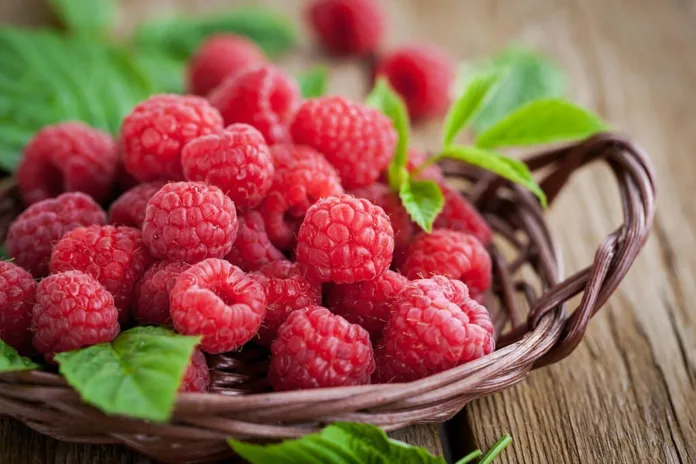 Health Benefits of Raspberries - Witapedia