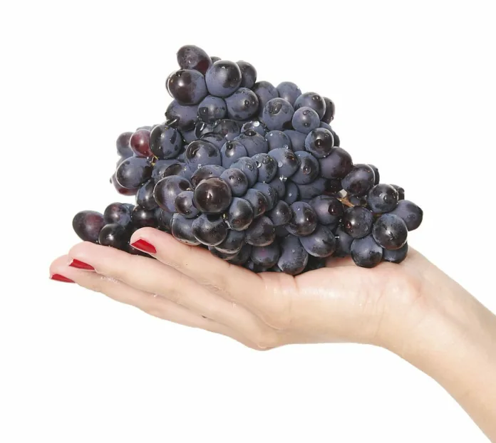 Benefits of Consuming Black Grapes - Witapedia