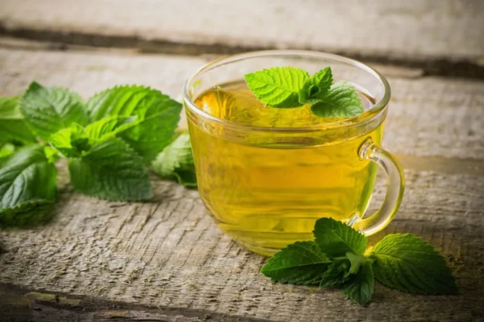 Benefits of Drinking Peppermint Tea - Witapedia