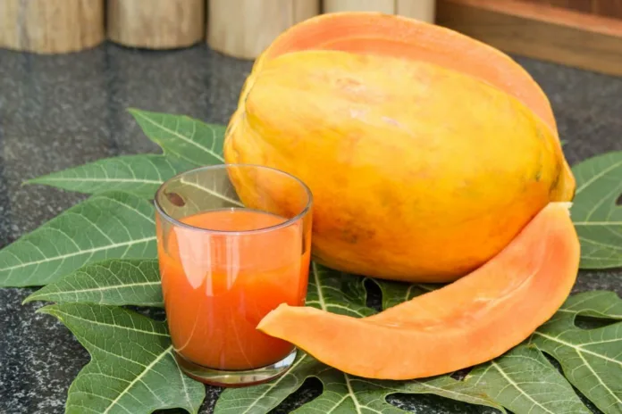 Health Benefits Of Papaya Leaves - Witapedia