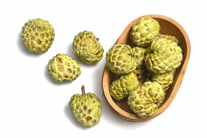 Benefits of Eating Custard Apple - Witapedia