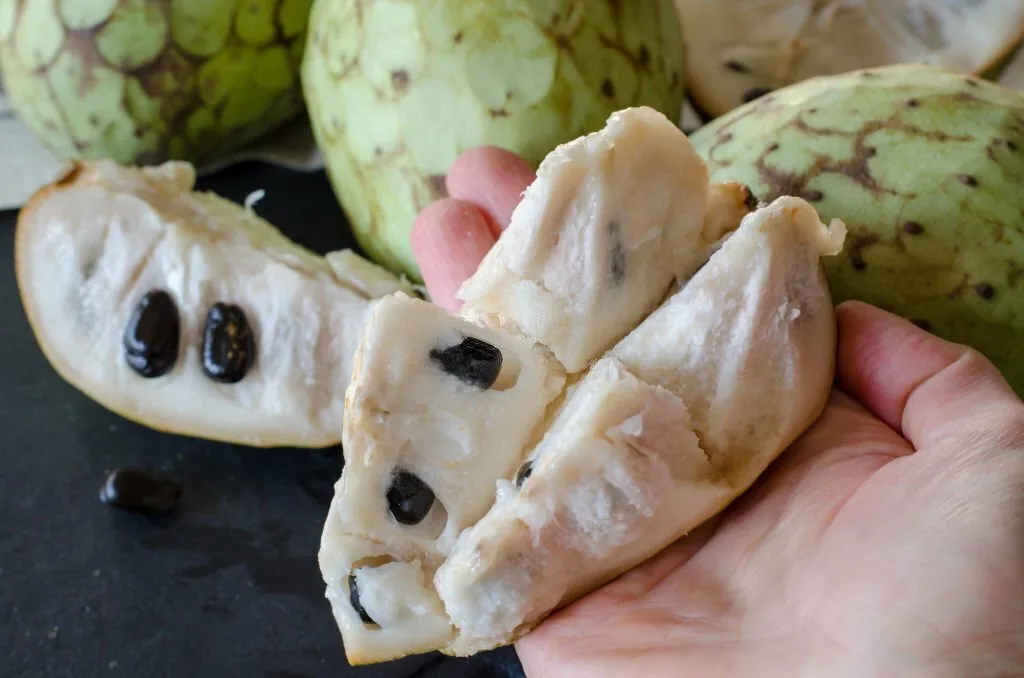 Benefits of Eating Custard Apple - Witapedia