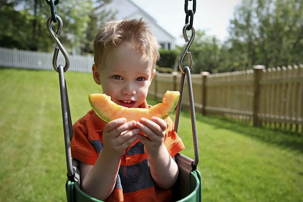 Health Benefits of Cantaloupe - Witapedia