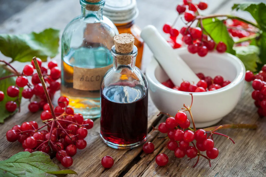 Health Benefits Of Cranberries - Witapedia