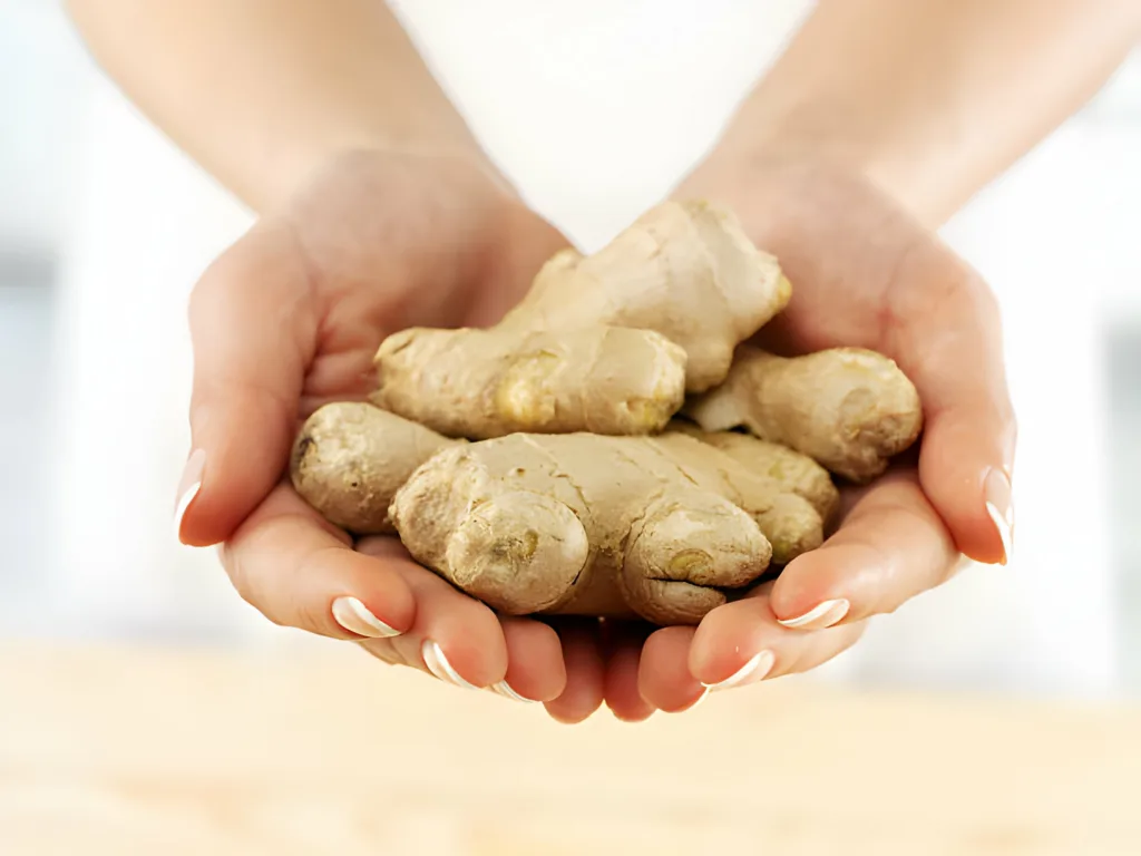 Ginger: A Root for Digestive Health and More - Witapedia