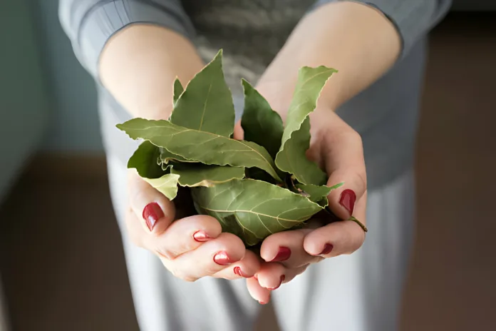 Cloves and Bay Leaves: A Spiced Spell for Every Zodiac Sign - Witapedia