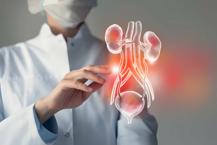 Diabetes and Kidney Health: A Concerning Connection - Witapedia